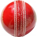 RS Robinson Common Wealth Cricket Ball (Red)